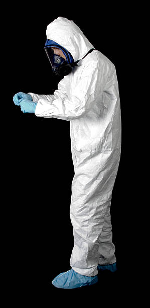 Best Basement Mold Removal  in Holtville, CA