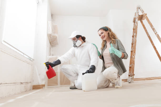 Best Industrial Mold Remediation  in Holtville, CA